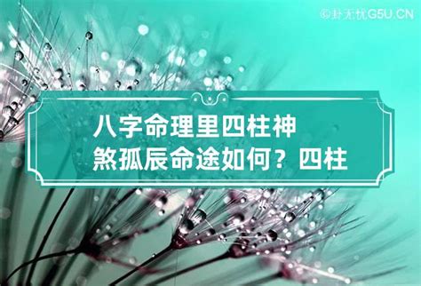 八字寡宿|八字中孤辰寡宿是什么意思 八字带孤辰寡宿怎么看